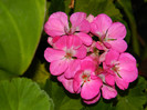 DSCN9671