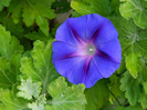 DSCN9675