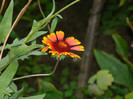 DSCN9680