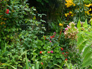DSCN9684