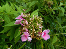 DSCN9689