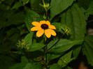 DSCN9690