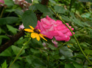 DSCN9691