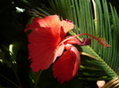 P1160516