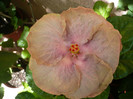 P1160517