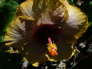 P1160526
