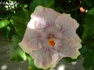 P1160529