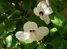 P1160539