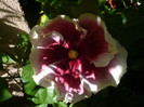 P1160542