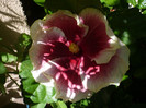 P1160543
