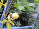 DSC08564