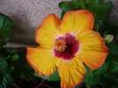 P1160562