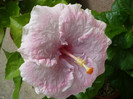 P1160570