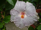 P1160584