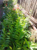 Photo0326