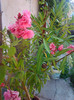 Photo0331