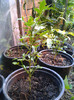 Photo0358