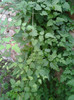 Photo0362