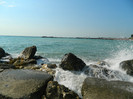 DSCN9047