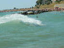 DSCN9071