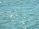 DSCN9073