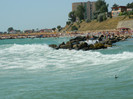 DSCN9081