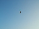 DSCN9154