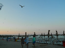 DSCN9191
