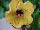 P1160590