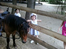 2012-07-31 12.56.26