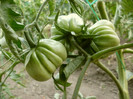 P7133522