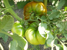 P7163785
