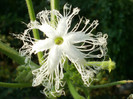 P7284384