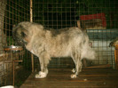 S5009512