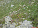 DSC05839