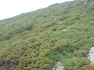 DSC05849