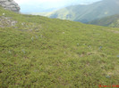 DSC05853