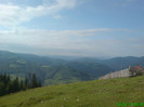 DSC07917