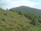 DSC07939