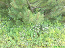 DSC07947