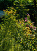 DSCN0060