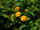 DSCN0065