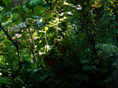 DSCN0066