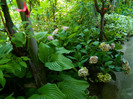DSCN0071