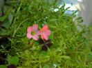 DSCN0073