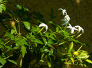 DSCN0080