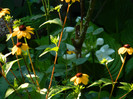 DSCN9934