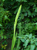 DSCN9937