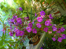 DSCN9953