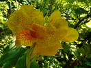 DSCN9956